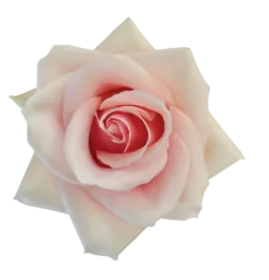 SENTI™ ROMANTIC TOUCH COLOMBIA