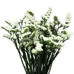 WHITE DELIGHT™