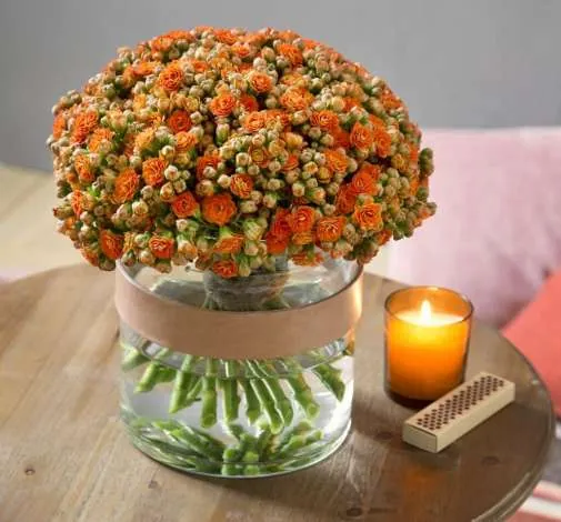 KALANCHOE CUTFLOWERS™ ORANGE