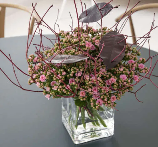 KALANCHOE CUTFLOWERS™ PINK