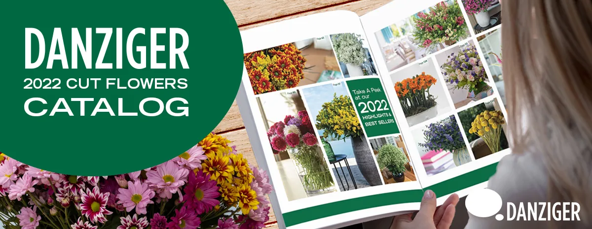 Facebook business page cover – מתוך "CUT FLOWERS CATALOG FOR THE 2022 SEASON" | דנציגר