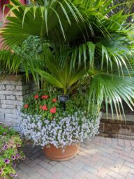 STREAM™ Compact Violet