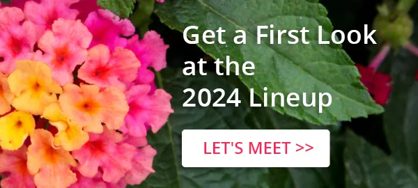 Widget 2024 lineup
