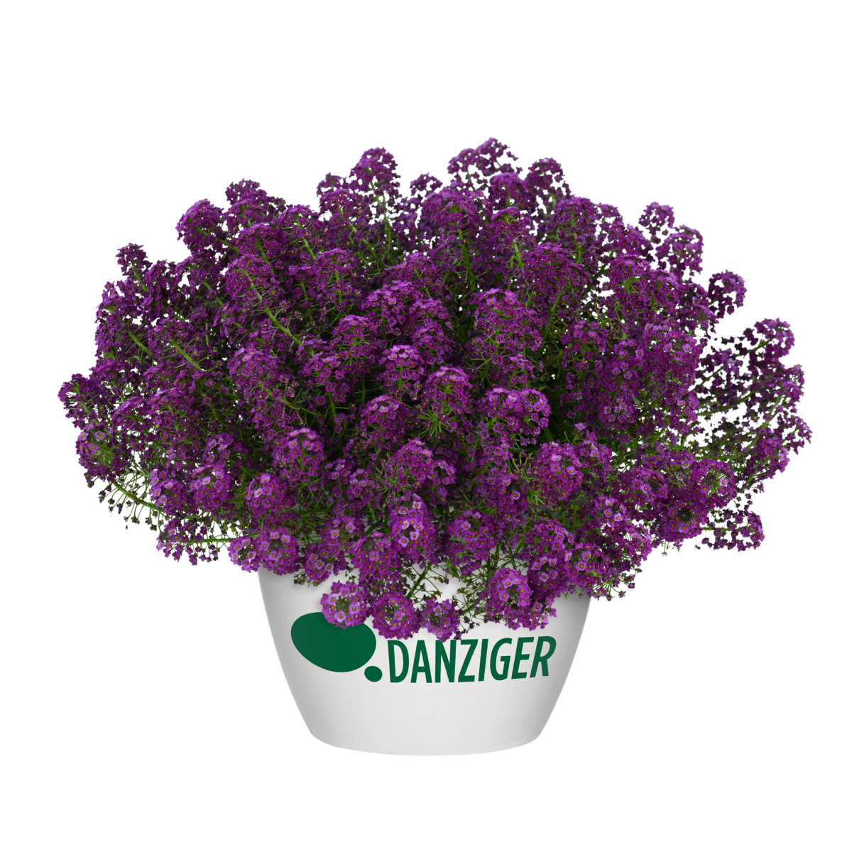 Sallyfun™ Deep Ocean - Danziger