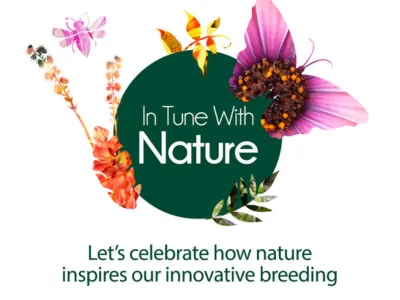 CULTIVATE 2023 (400 × 300 px) – מתוך "Danziger Brings Nature’s Inspiration to Cultivate" | דנציגר