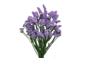 SUPERTA™ BLUE