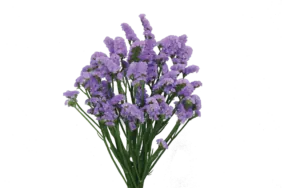 SUPERTA™ BLUE