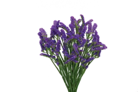 SUPERTA™ DARK BLUE