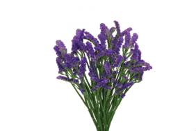 SUPERTA™ DARK BLUE