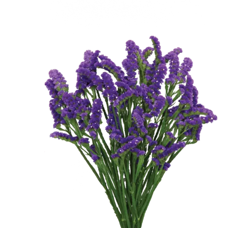 SUPERTA™ DARK BLUE