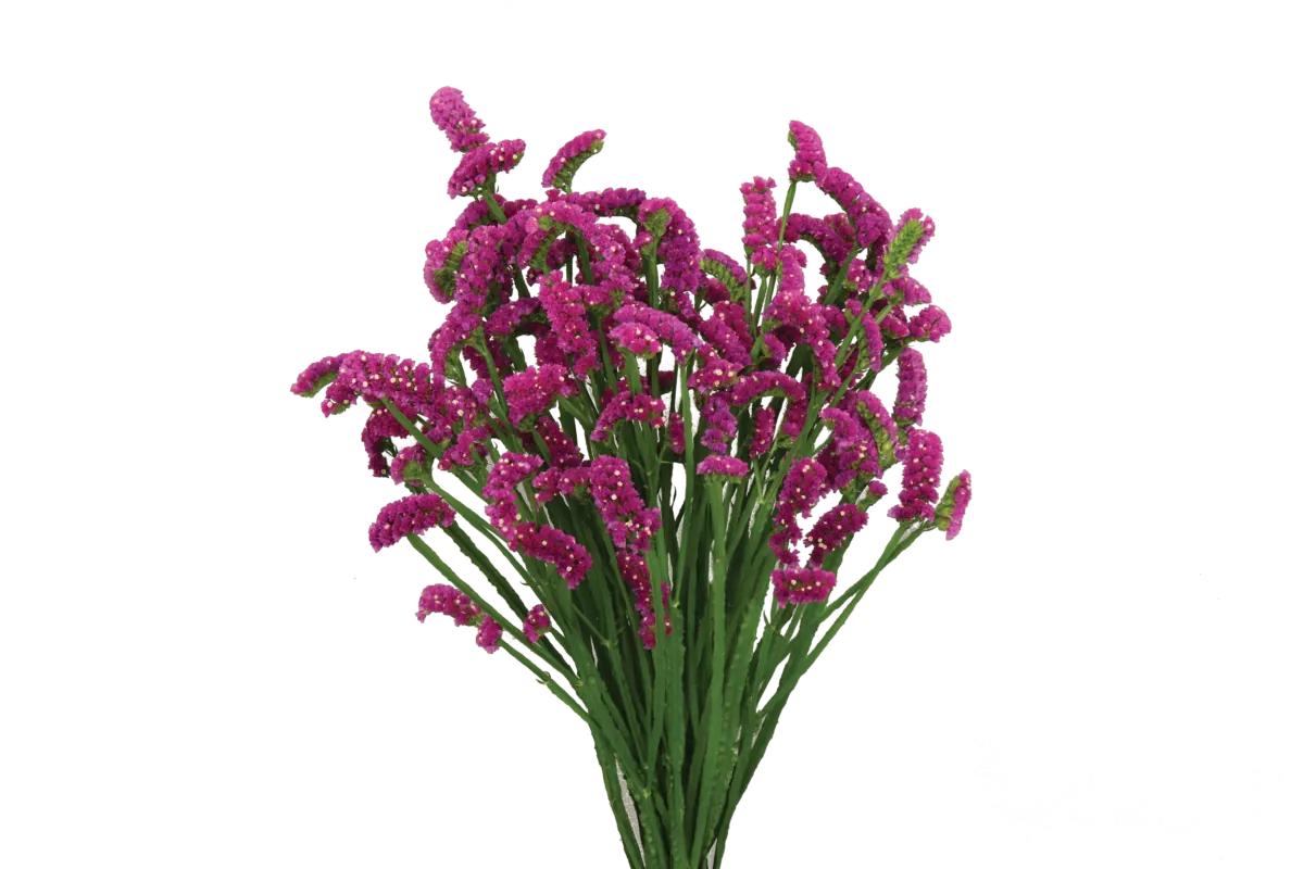 SUPERTA™ PURPLE