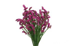 SUPERTA™ PURPLE