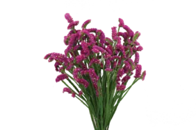 SUPERTA™ PURPLE