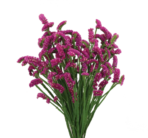 SUPERTA™ PURPLE