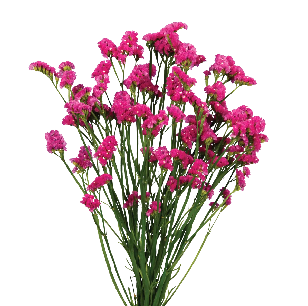 SUPERTA™ VERMILION