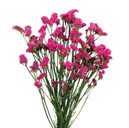 SUPERTA™ VERMILION