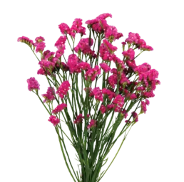 SUPERTA™ VERMILION