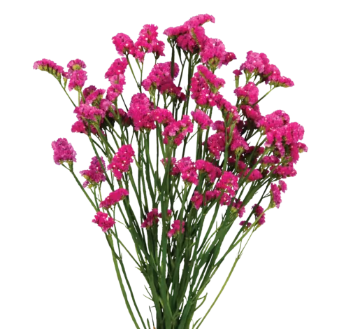 SUPERTA™ VERMILION