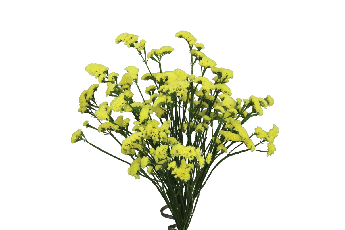 SUPERTA™ YELLOW