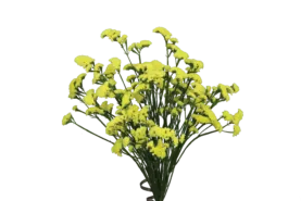 SUPERTA™ YELLOW