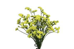 SUPERTA™ YELLOW