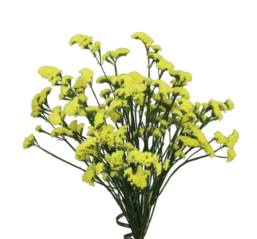 SUPERTA™ YELLOW