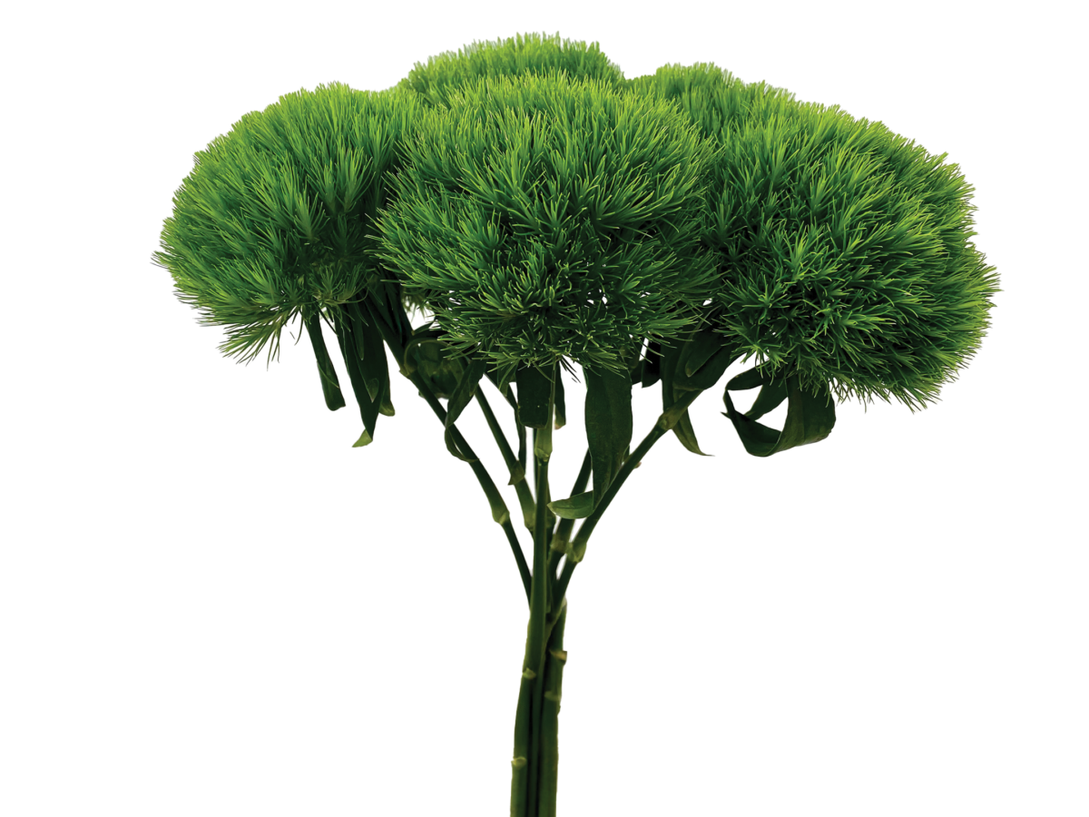 TriGreen XL™ - Danziger