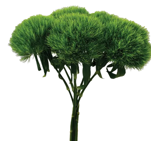 TriGreen XL™