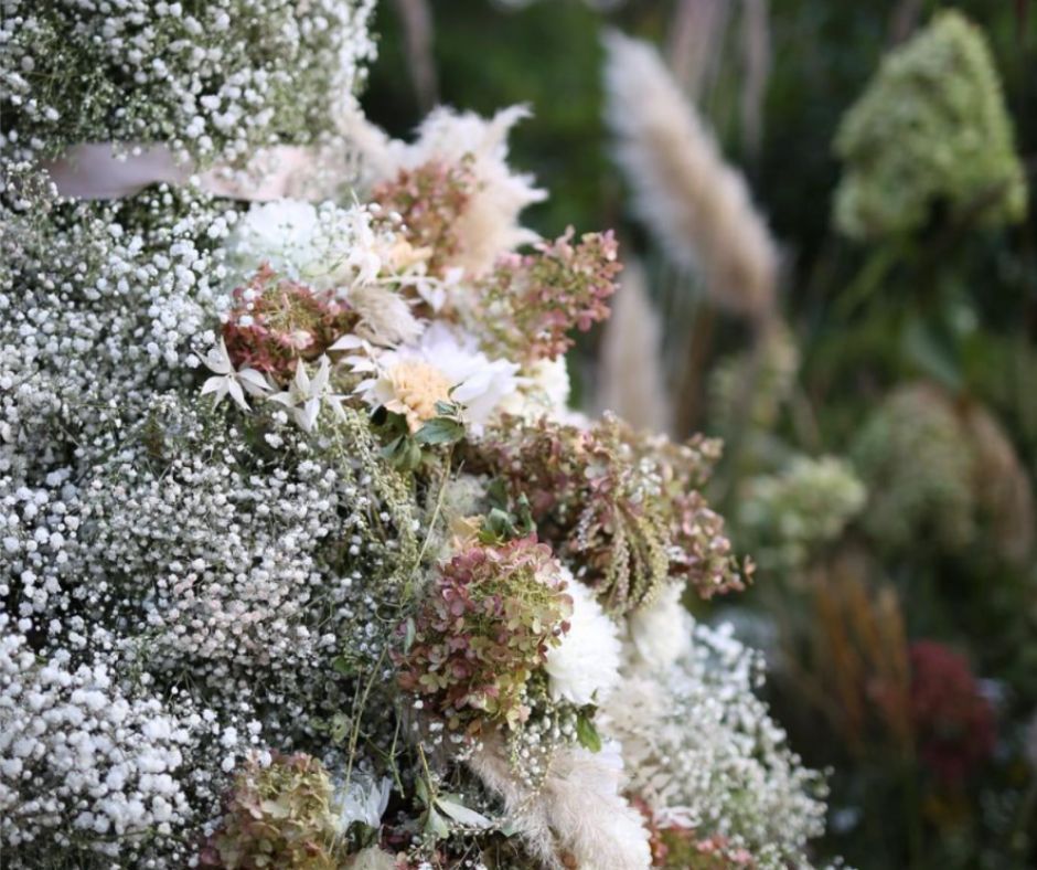 XLENCE® Gypsophila winning design
