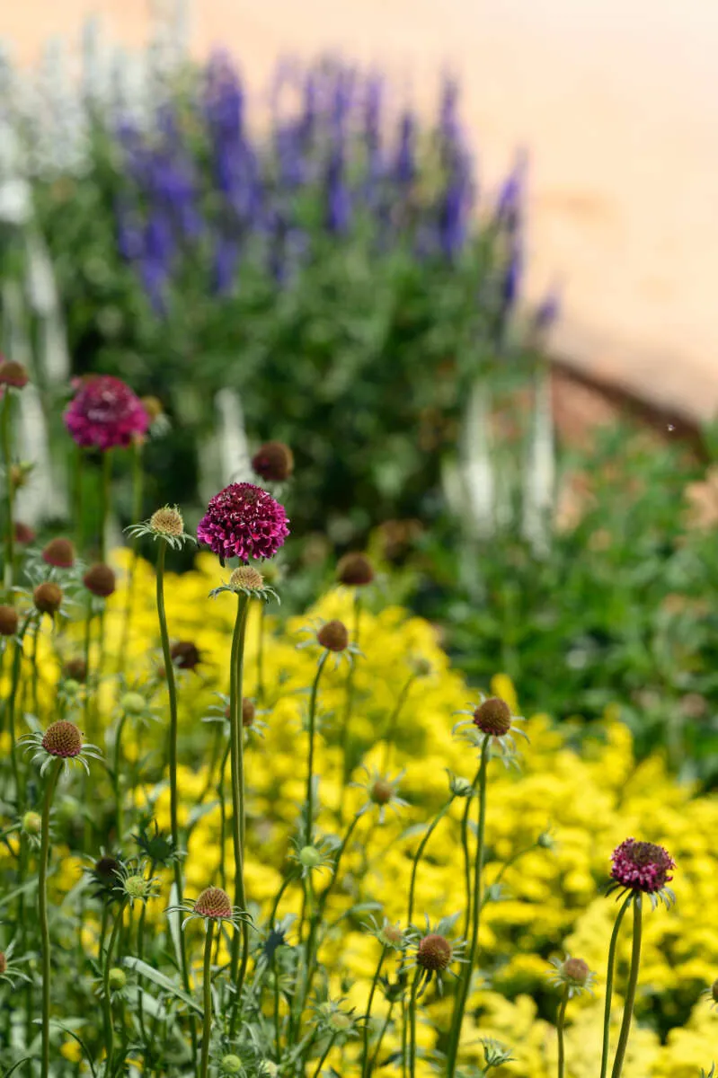 Garden to Vase