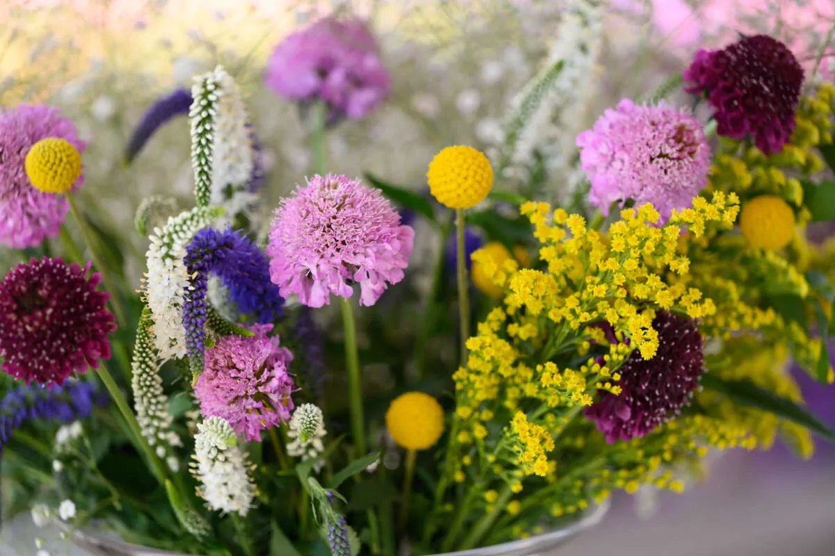Garden to Vase