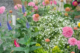 Garden to Vase