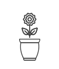 Single small pots