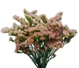 Sinuet Keta