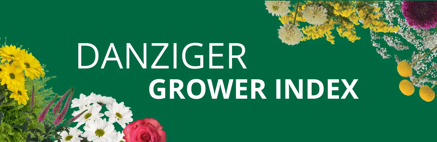 FIND YOUR FLOWERS!