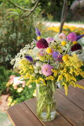 Garden to Vase