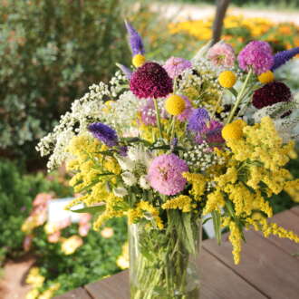 Garden to Vase
