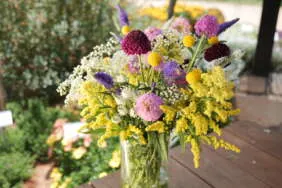 Garden to Vase