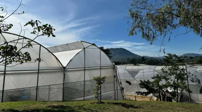 New greenhouse in Colombia