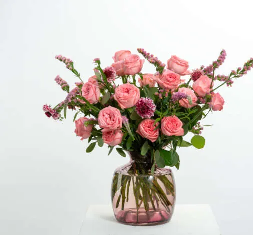 SENTI™ CRUSH Roses