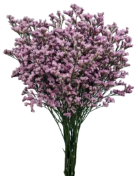 TROPINK™