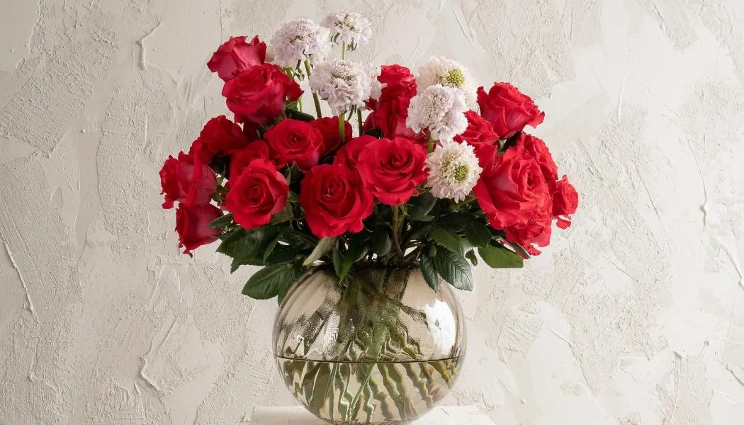 Senti™ French Kiss Roses