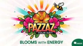 Pazzaz Your Day