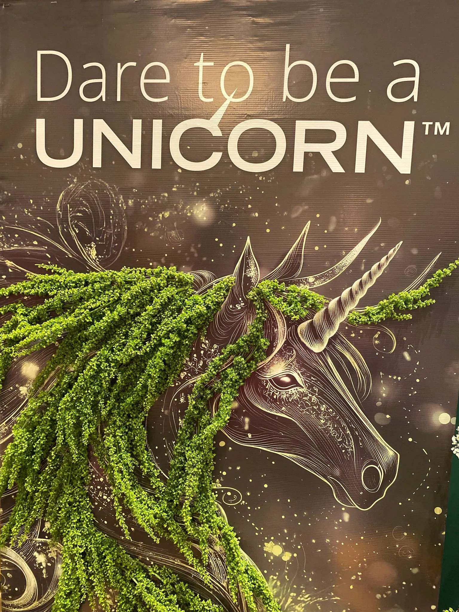 Dare to be a Unicorn