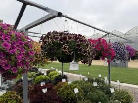 CASCADIAS™ RIMerlot