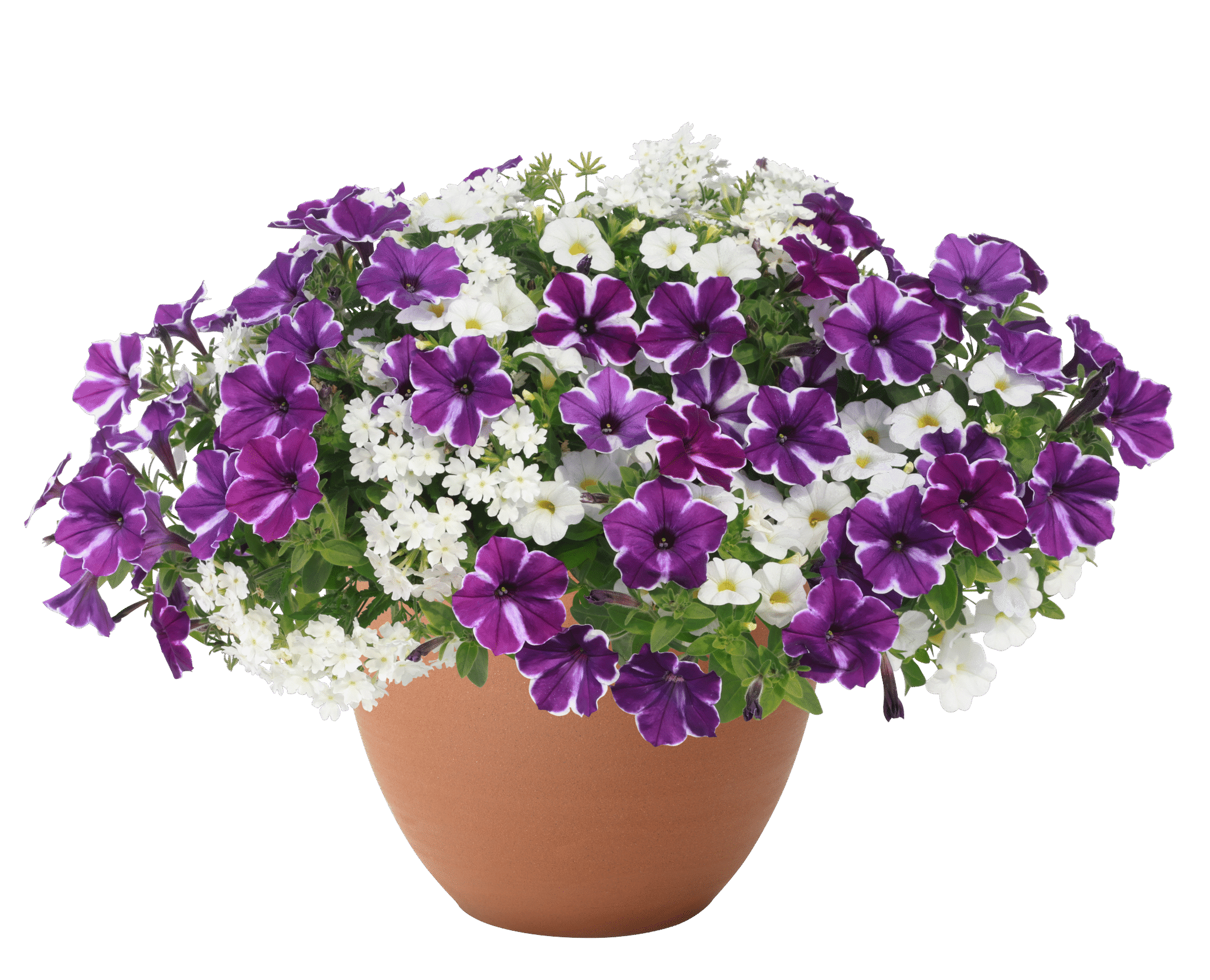 Maritime Tradition™