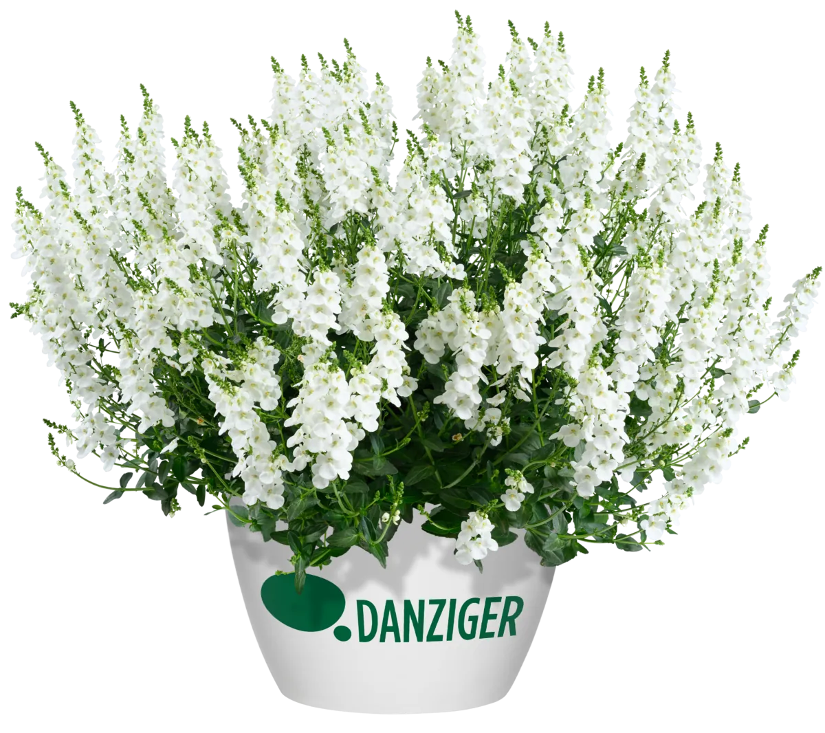 TRINITY™ white