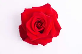 Endless passion_catalog_colombia