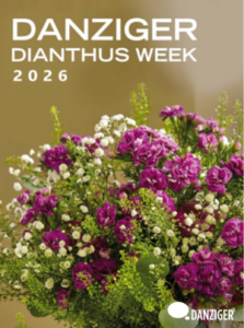Catalog Dianthus 2026
