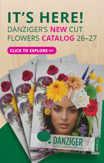 Cut Flowers new Catalog